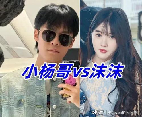 小杨爆料最新视频,揭秘幕后真相,精彩瞬间不容错过